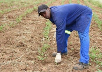 Food security around the World!