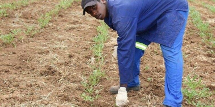 Food security around the World!