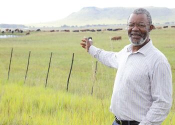 Rural development key to promoting economic development