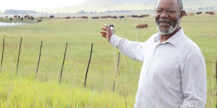 Rural development key to promoting economic development