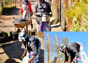 Coal threatens Rietvlei Nature Reserve