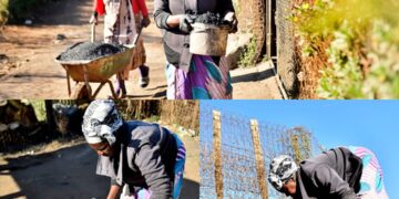 Coal threatens Rietvlei Nature Reserve