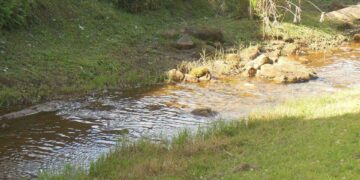 Take the lead this year!