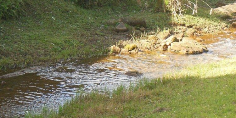 Take the lead this year!