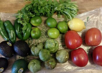 Stay healthy and happy everyday with top health tips!