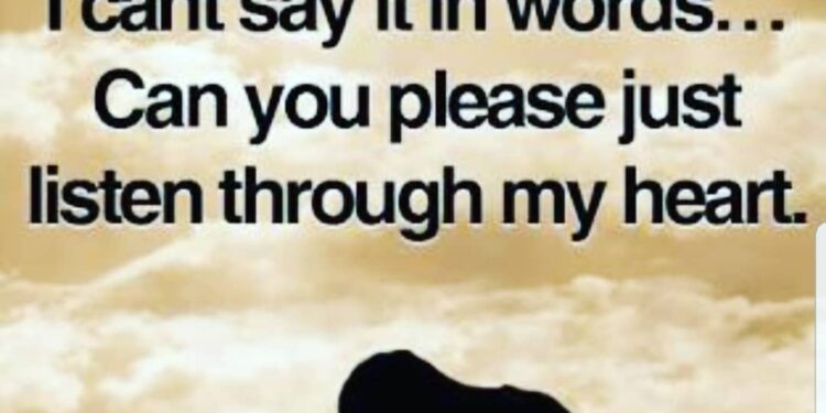 YOUR PROVIDER WILL PROVIDE