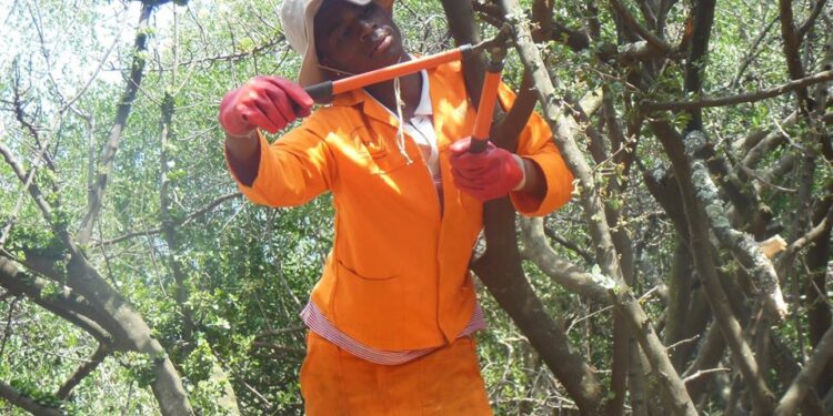 Collaborations to save our Schools and Communities!