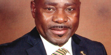 PUBLIC INPUT INTO THE GAUTENG PROVINCIAL LAWS GENERAL AMENDMENT BILL