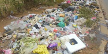 Away with Dumping in Cosmo City!