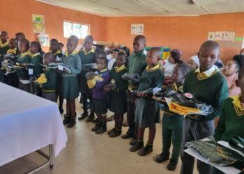 Social grants process improved to benefit orphaned children!