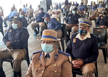 PLEASE Arrive Alive South Africa!