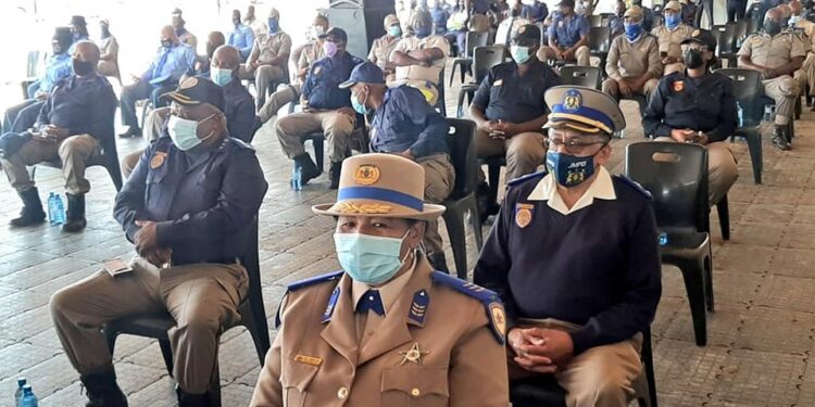 PLEASE Arrive Alive South Africa!