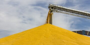 Fertiliser crisis, expect high food prices!