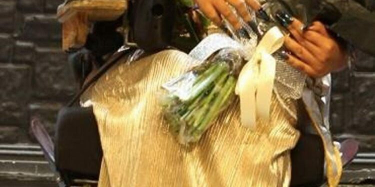 Miss Wheelchair SA Crowned!