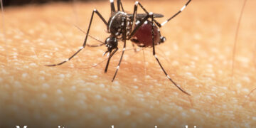 Intensifying the Fight against Malaria!  