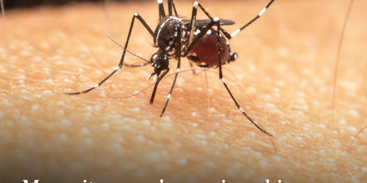 Intensifying the Fight against Malaria!