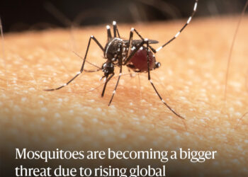 Malaria Vector Surveillance Report, South Africa, January – December 2022