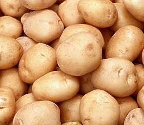 National Potato Day!