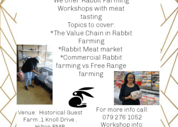 RABBIT FARMING WORKSHOP ON SATURDAY!
