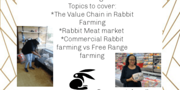 RABBIT FARMING WORKSHOP ON SATURDAY!