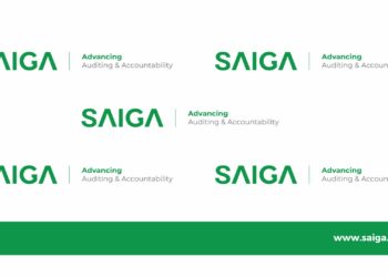 Why is Public Sector Auditing and Accounting a Career of Choice?