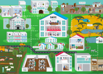 SAVC: how the animal health industry functions as a well-oiled machine!