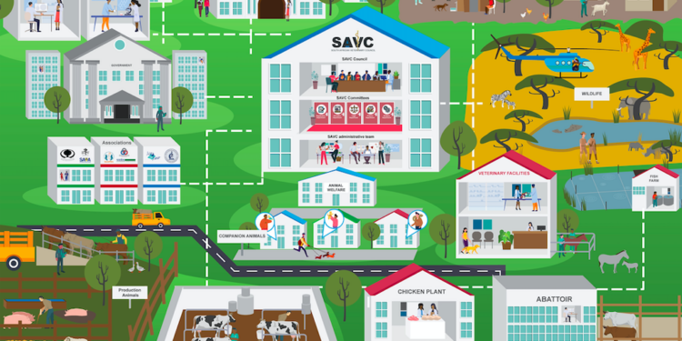 SAVC: how the animal health industry functions as a well-oiled machine!