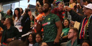 Springboks World Cup Victory Public Holiday!