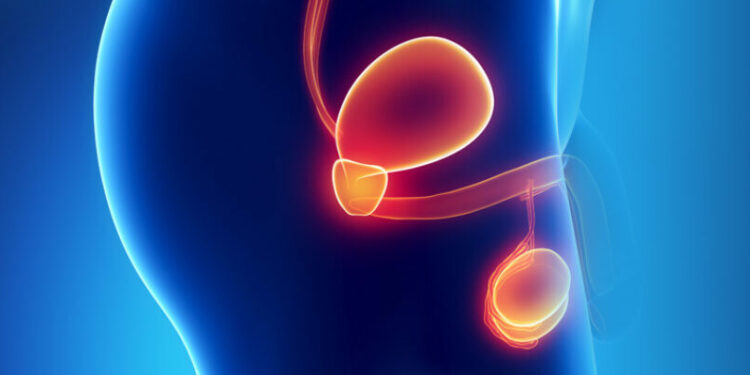 Movember is about men’s health!