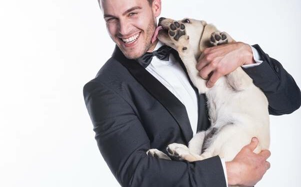 dotsure.co.za unleashes true love with The Bachelor SA!