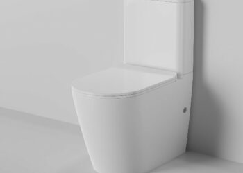 Why Choose Rimless Wall-Hung Pans?