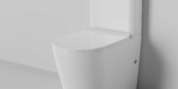 Why Choose Rimless Wall-Hung Pans?