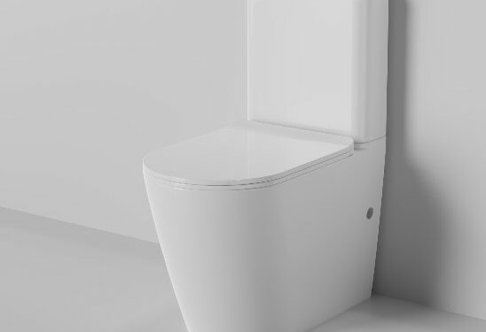 Why Choose Rimless Wall-Hung Pans?