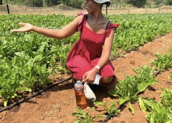 Every Friday must be Small Business Friday!