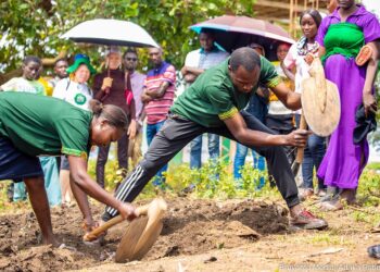 Agroecology Training: Nurturing Sustainable Practices