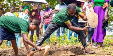 Agroecology Training: Nurturing Sustainable Practices