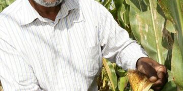 Growing Future Leaders in Farming