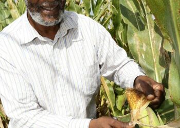 Address the issues around Food Security!