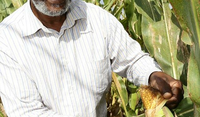 Address the issues around Food Security!