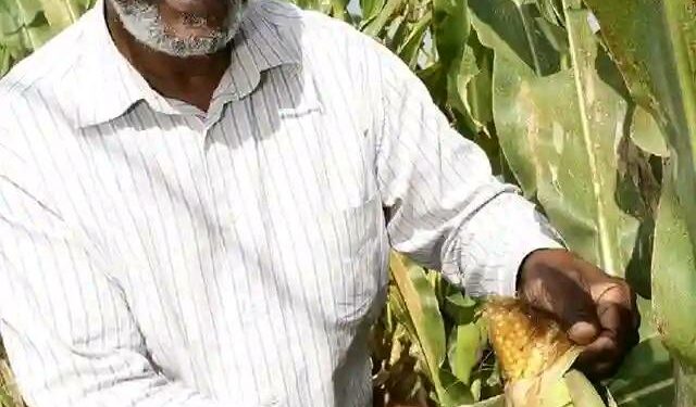 IT’S SMALL BUSINESS FRIDAY!