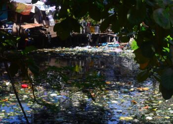 Plastic Waste – Do You Care?