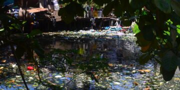 Plastic Waste – Do You Care?