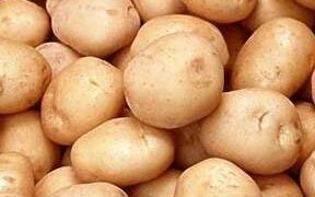 How to grow Potatoes!