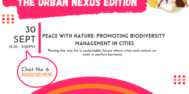 Cities’ Lunchtime Chats: The Urban Nexus Edition