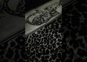 AMANDEBELE KA NDZUNZA SOKHULUMI INKOSI MP MAHLANGU TO CELEBRATE THE KING NDZUNDZA COMMEMORATION