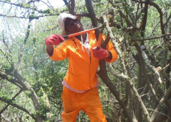 Climate Media Awards launches with R100,000 in prizes 