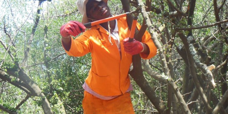 Climate Media Awards launches with R100,000 in prizes