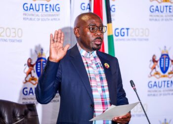 MEC Bonginkosi Dhlamini Urges Gauteng Residents to Download the Gauteng Panic Button