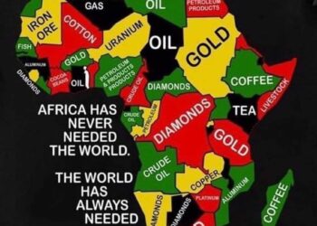 An opportunity to platform African issues at the highest level – World Economic Forum!