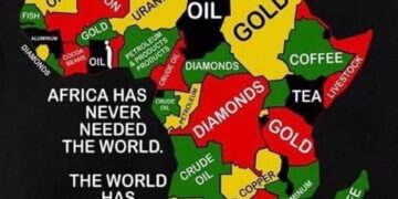 An opportunity to platform African issues at the highest level – World Economic Forum!